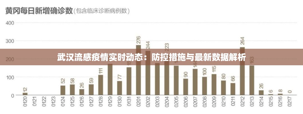 武汉流感疫情实时动态：防控措施与最新数据解析