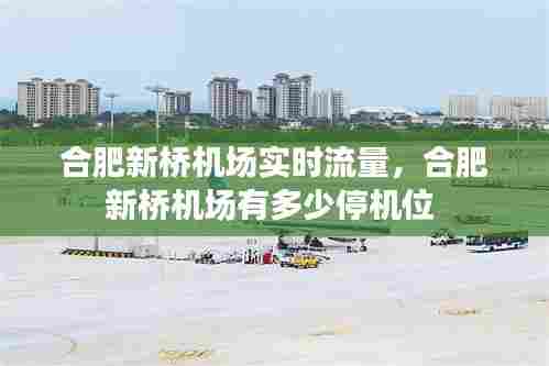 合肥新桥机场实时流量，合肥新桥机场有多少停机位 
