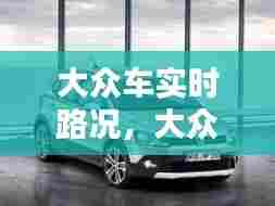 大众车实时路况，大众车况查询 