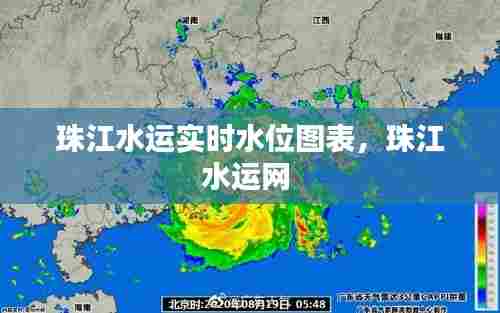 珠江水运实时水位图表，珠江水运网 