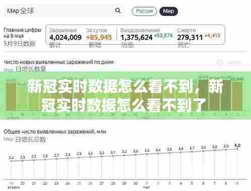 新冠实时数据怎么看不到，新冠实时数据怎么看不到了 