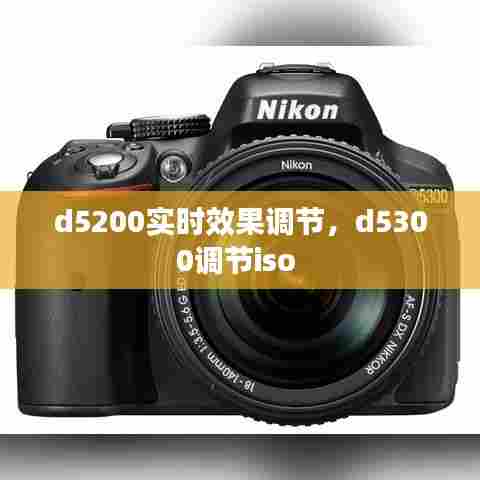 d5200实时效果调节，d5300调节iso 