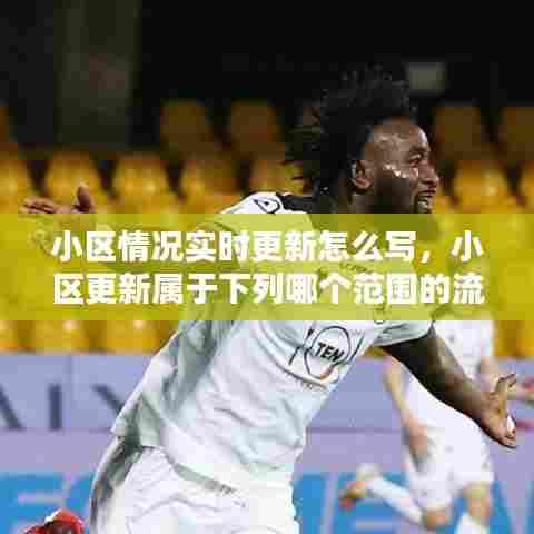 小区情况实时更新怎么写，小区更新属于下列哪个范围的流程 