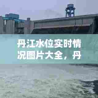 丹江水位实时情况图片大全，丹江水位现在多少米 