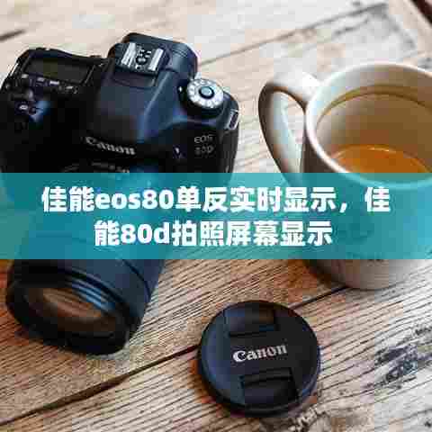 佳能eos80单反实时显示，佳能80d拍照屏幕显示 