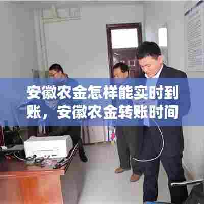 安徽农金怎样能实时到账,安徽农金转账时间规定
