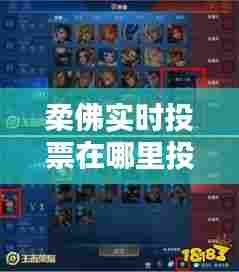 柔佛实时投票在哪里投的，王者荣耀选英雄怎么显示分路几段 