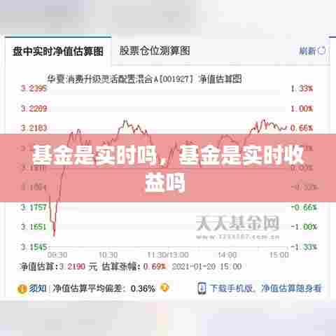 基金是实时吗，基金是实时收益吗 