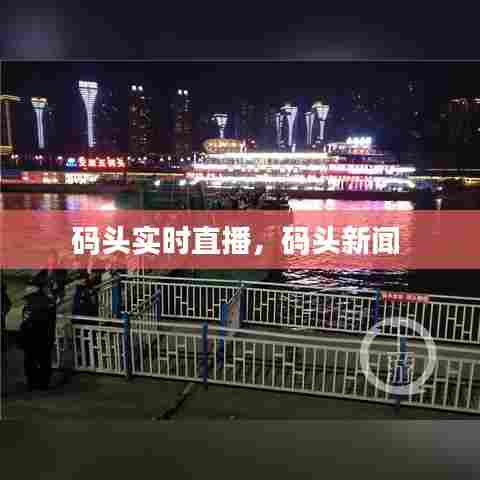码头实时直播,码头新闻