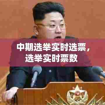 中期选举实时选票，选举实时票数 
