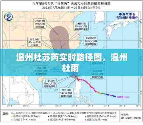温州杜苏芮实时路径图，温州杜雨 