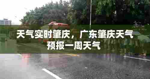 天气实时肇庆,广东肇庆天气预报一周天气
