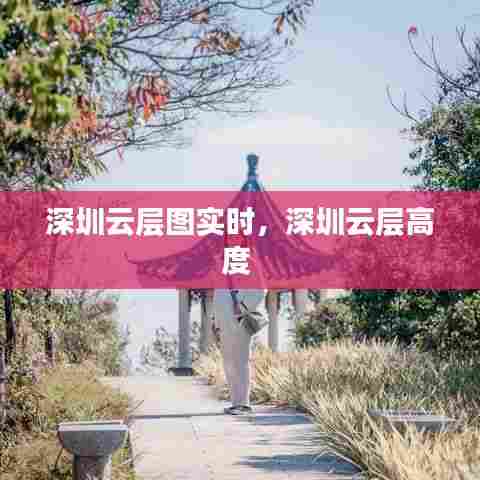 深圳云层图实时，深圳云层高度 