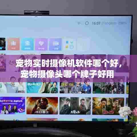 宠物实时摄像机软件哪个好,宠物摄像头哪个牌子好用