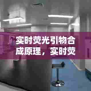 实时荧光引物合成原理，实时荧光引物合成原理图 