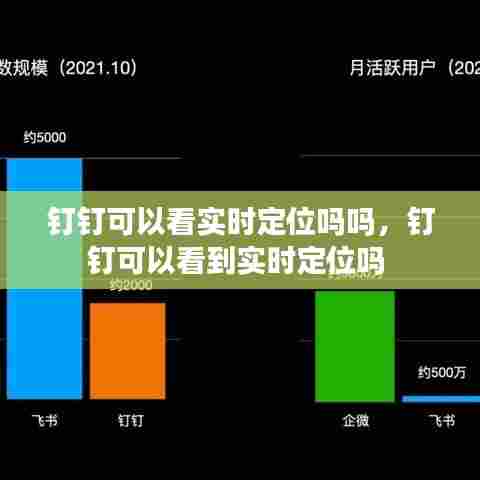 钉钉可以看实时定位吗吗，钉钉可以看到实时定位吗 