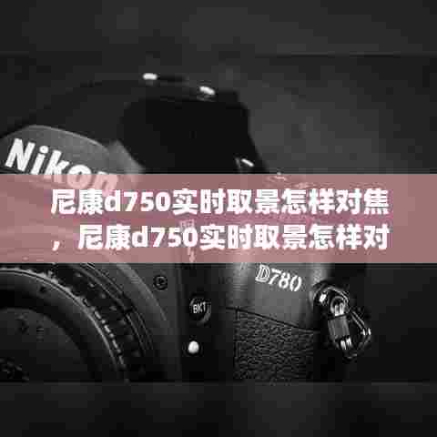 企业策划服务 第300页