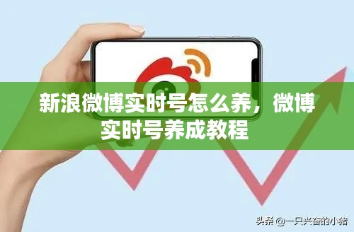 新浪微博实时号怎么养，微博实时号养成教程 
