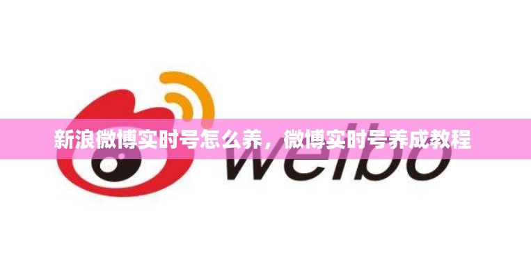 新浪微博实时号怎么养,微博实时号养成教程