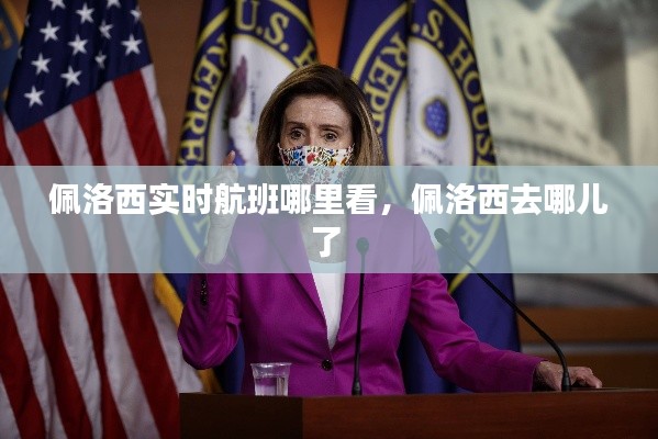 佩洛西实时航班哪里看，佩洛西去哪儿了 