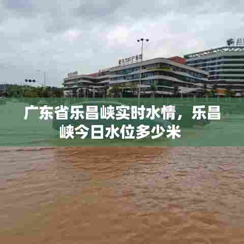 广东省乐昌峡实时水情，乐昌峡今日水位多少米 
