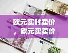 欧元实时卖价，欧元买卖价 