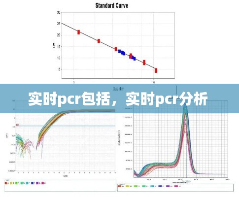 实时pcr包括，实时pcr分析 