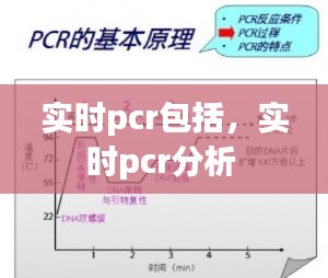 实时pcr包括,实时pcr分析