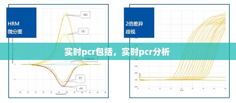 实时pcr包括,实时pcr分析