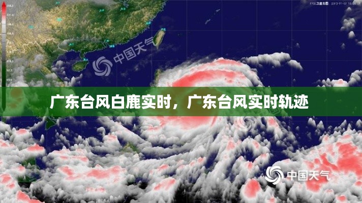 广东台风白鹿实时，广东台风实时轨迹 