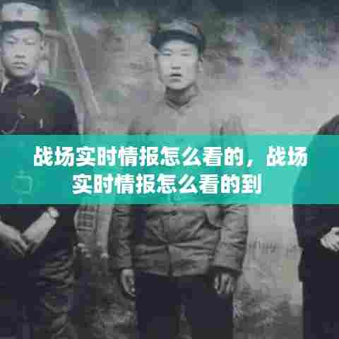 战场实时情报怎么看的,战场实时情报怎么看的到