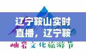 辽宁鞍山实时直播，辽宁鞍山电视台直播 