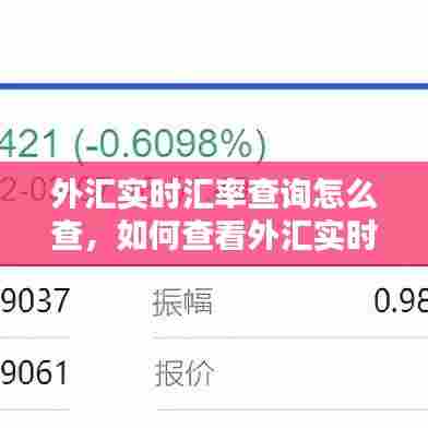 外汇实时汇率查询怎么查，如何查看外汇实时行情 