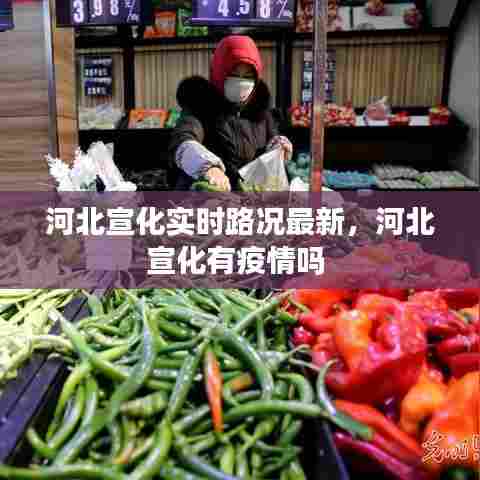 河北宣化实时路况最新，河北宣化有疫情吗 