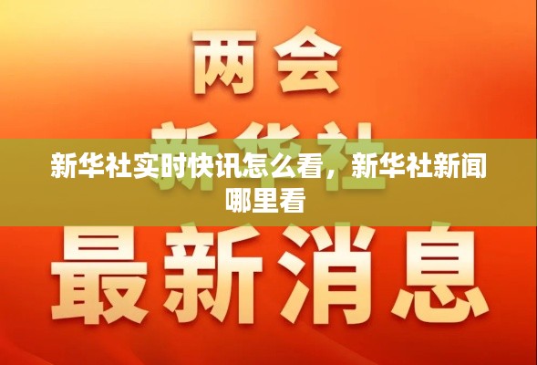 新华社实时快讯怎么看，新华社新闻哪里看 
