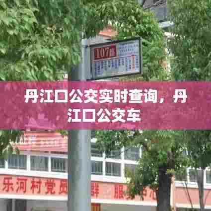 丹江口公交实时查询，丹江口公交车 