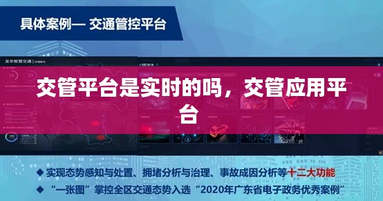 交管平台是实时的吗,交管应用平台