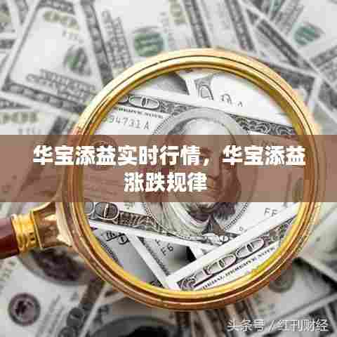 客户案例 第297页