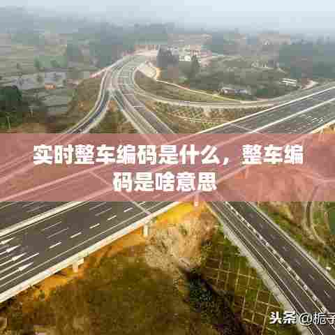 实时整车编码是什么,整车编码是啥意思