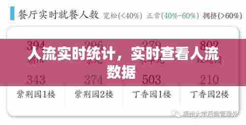 人流实时统计,实时查看人流数据