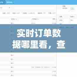 实时订单数据哪里看，查看订单时间 
