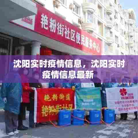 沈阳实时疫情信息，沈阳实时疫情信息最新 