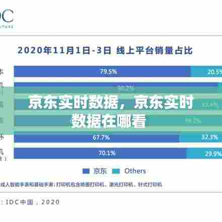 京东实时数据，京东实时数据在哪看 