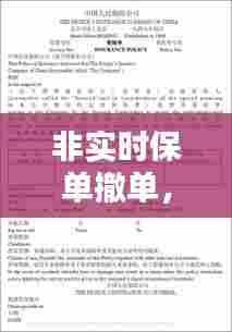 非实时保单撤单,非实时保单是什么意思