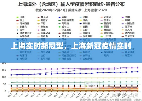 上海实时新冠型，上海新冠疫情实时 