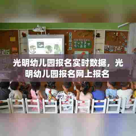 光明幼儿园报名实时数据,光明幼儿园报名网上报名