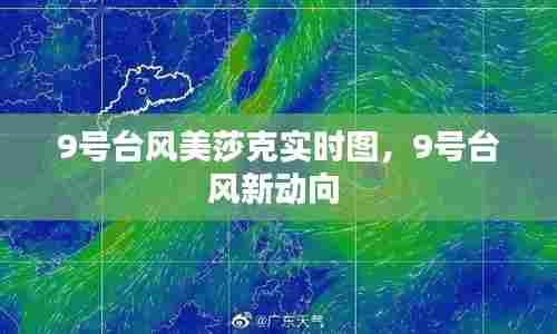 9号台风美莎克实时图，9号台风新动向 