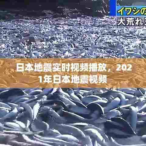 日本地震实时视频播放，2021年日本地震视频 