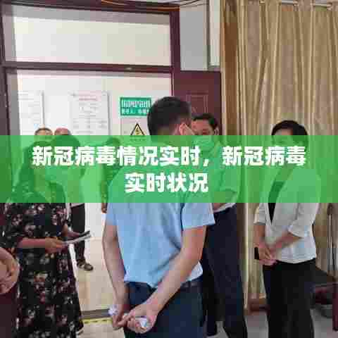 新冠病毒情况实时,新冠病毒实时状况