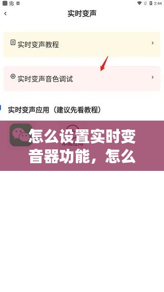 怎么设置实时变音器功能，怎么设置实时变音器功能呢 